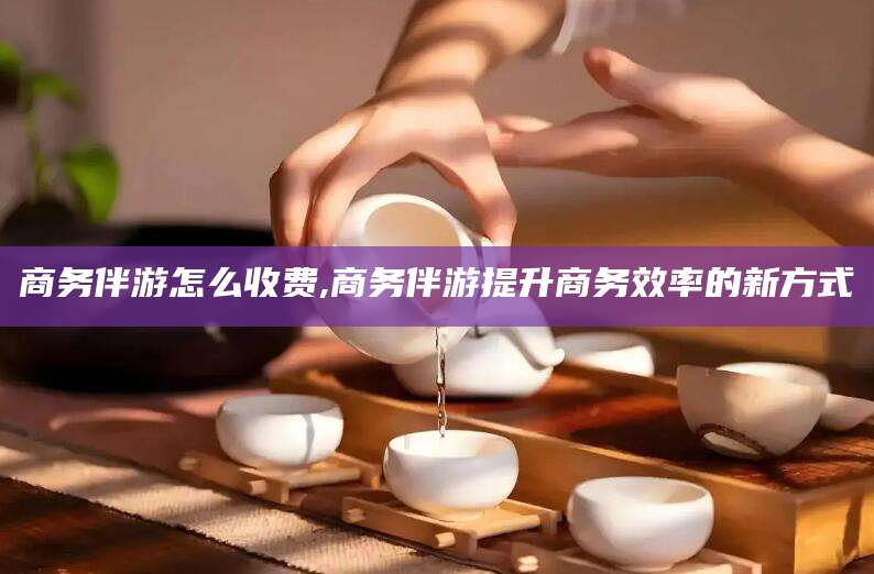 商洛商务伴游怎么收费,商务伴游提升商务效率的新方式
